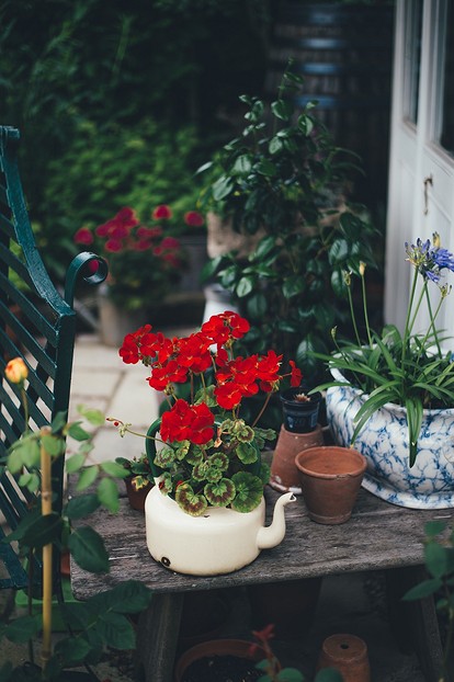 Красивые клумбы возле дома и в саду: 55 несложных вариантов