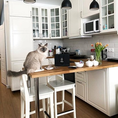 Барная стойка на кухне: виды, варианты расположения и 50 фото удачных интерьеров в разных стилях