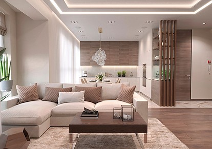 Дизайн гостиной с коричневой мебелью (64 фото)
