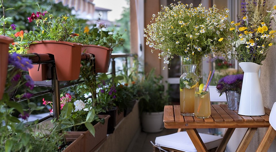 Озеленение балкона своими руками – какие цветы лучше садить на южных и северных сторонах