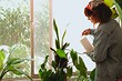 5 ошибок в поливе комнатных растений, которые им навредят