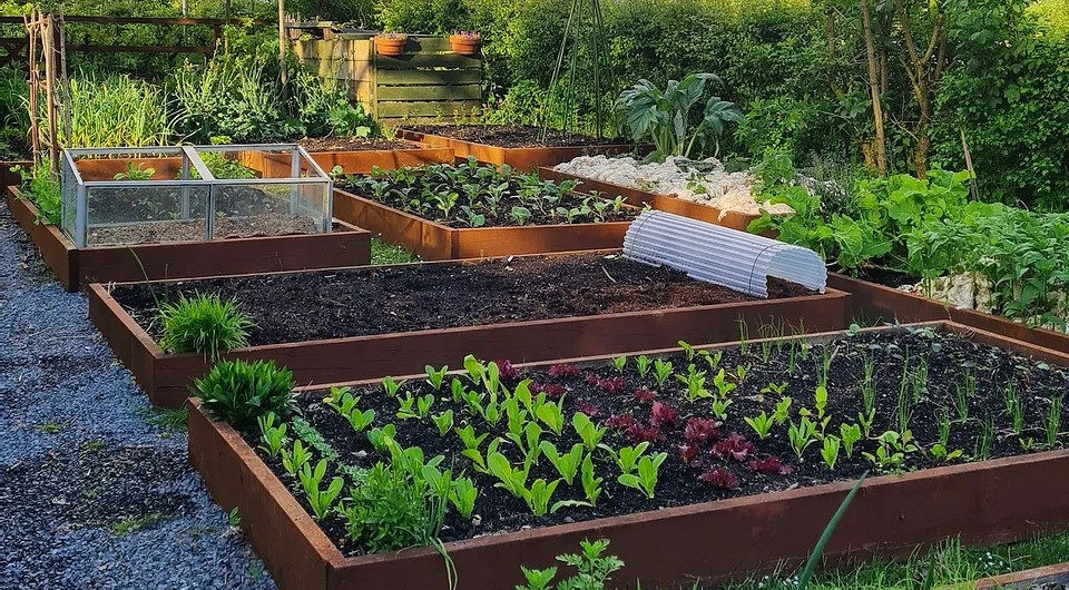 Это красиво: 30+ лучших идей для огородных грядок