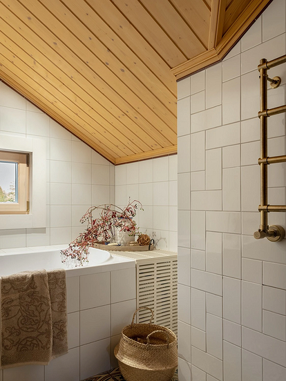 Ванная в частном доме: красивое обустройство, лучший дизайн и грамотная планировка (105 фото)