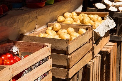Как хранить картофель в погребе