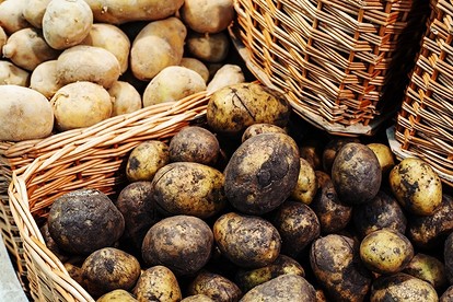 Как правильно хранить картофель: 5 способов сохранить урожай | webmaster-korolev.ru