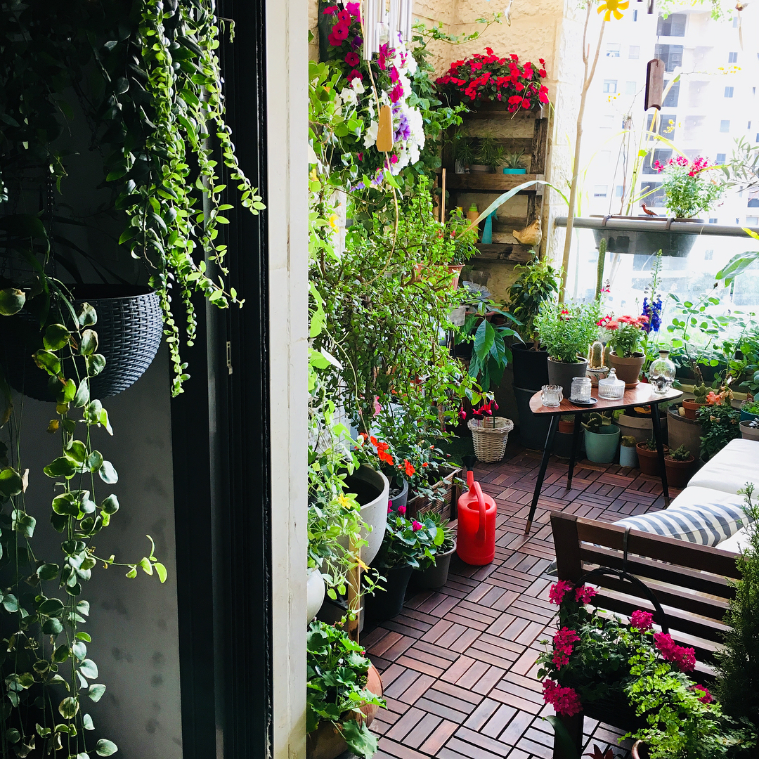 Маленький стильный огород на городском балконе: фото