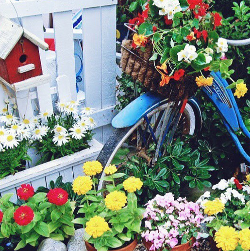 Пора доставать старый велосипед из гаража - 5 советов, как сделать из него прикольную клумбу в саду
