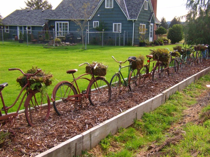 Деревянный велосипед: для жизни или для коллекции? – КАК ПОТРАТИТЬ