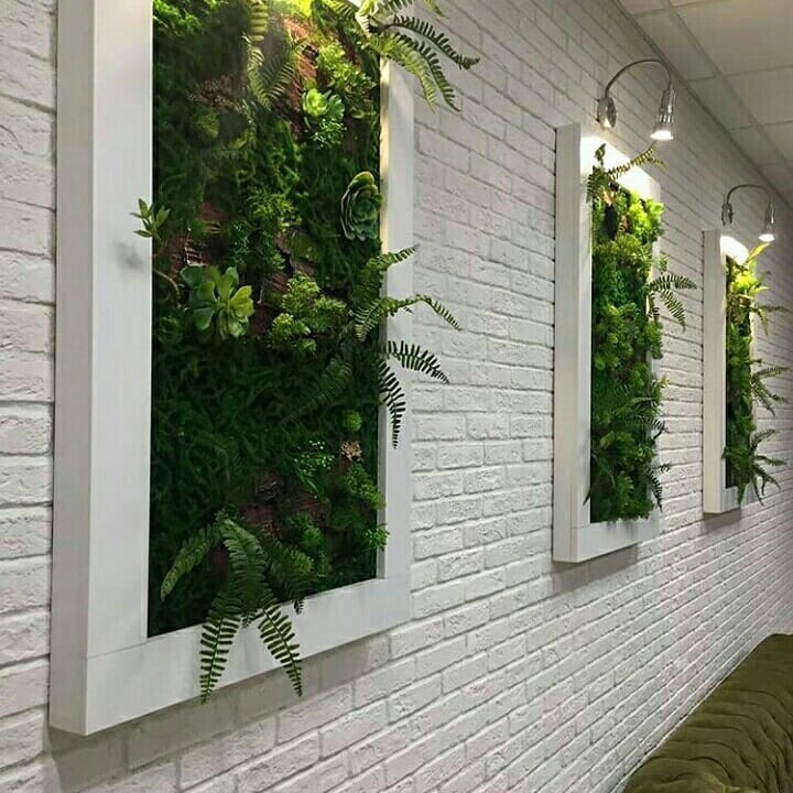 Вертикальное озеленение в квартире своими руками: стена из растений, как сделать цветочный забор