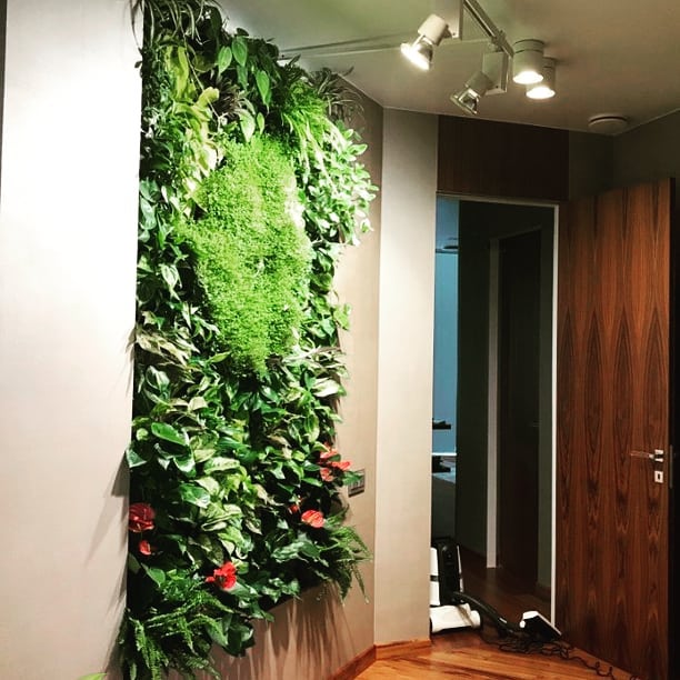 Вертикальное озеленение стен — 15 идей по декору и мастер-класс: 1 комментарий